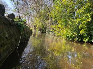 Stream by waterfall, 