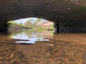 Stream to paddle in 