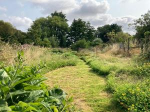 Back to nature - Wild Garden 