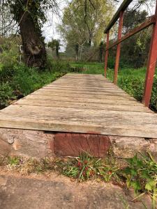 Bridge in wild garden 